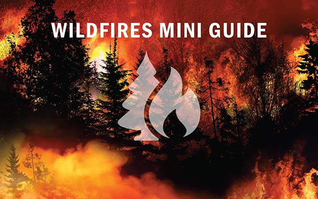 Always Ready Natural Disasters Wildfires Mini Guide
