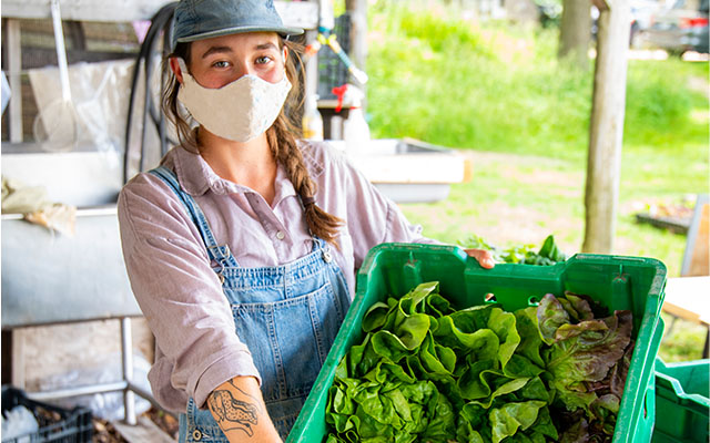 Woman holding greens in green bin - Sustainability