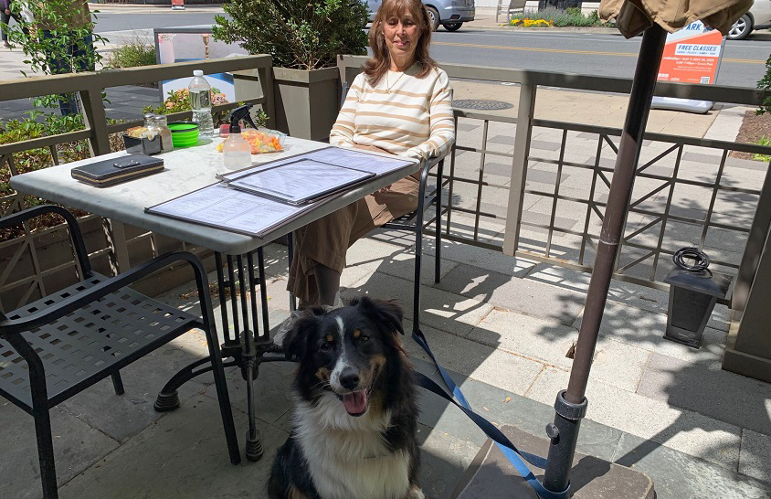 Australian Shepherd Zoe and her mom