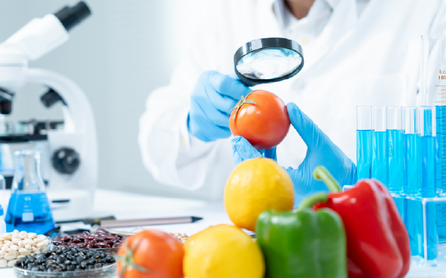 photo of a technician examining a tomato with a magnifying glass